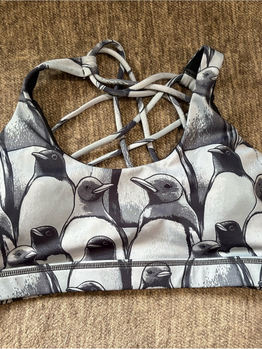 CVG Dressed to Chill Penguin Sports Bra Size XL NWOT
